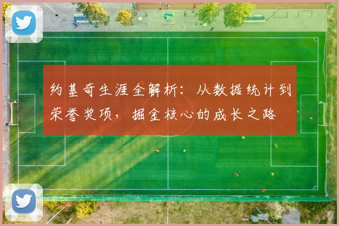 约基奇生涯全解析：从数据统计到荣誉奖项，掘金核心的成长之路