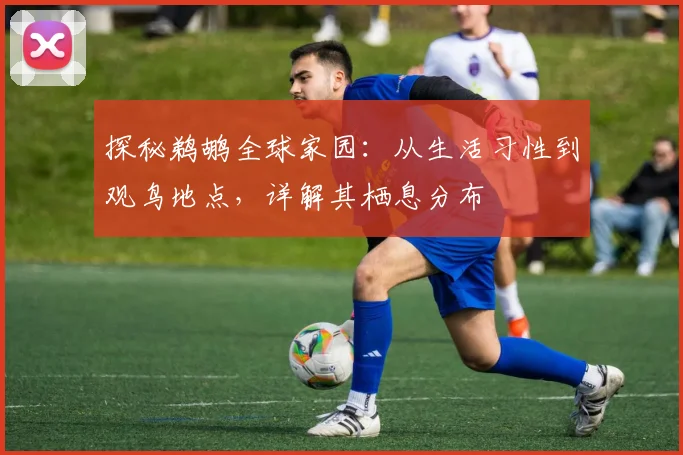 探秘鹈鹕全球家园:从生活习性到观鸟地点,详解其栖息分布