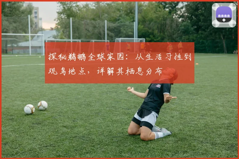 探秘鹈鹕全球家园:从生活习性到观鸟地点,详解其栖息分布